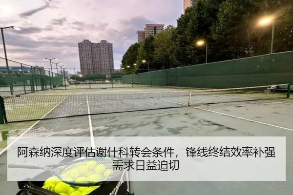 阿森纳深度评估谢什科转会条件，锋线终结效率补强需求日益迫切